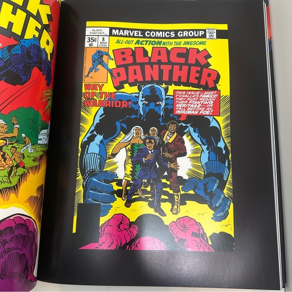 Marvels Black Panther: The Illustrated History of a King: The Complete - Picture 5 of 6